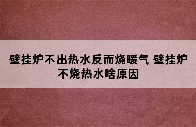 壁挂炉不出热水反而烧暖气 壁挂炉不烧热水啥原因